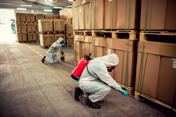 Best Pest Control for Homes  in Pond Creek, OK