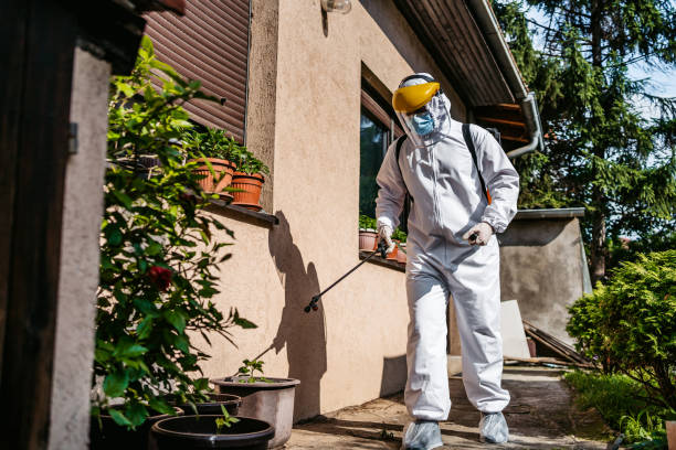 Best Cockroach Control Services  in Pond Creek, OK