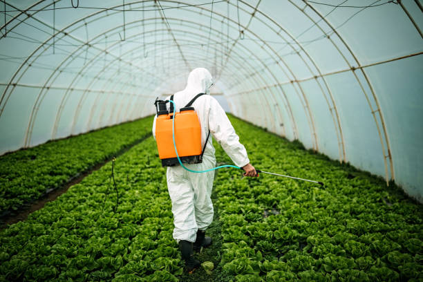 Best Affordable Pest Control Services  in Pond Creek, OK