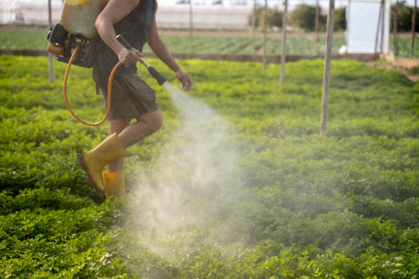 Best Affordable Pest Control Services  in Pond Creek, OK