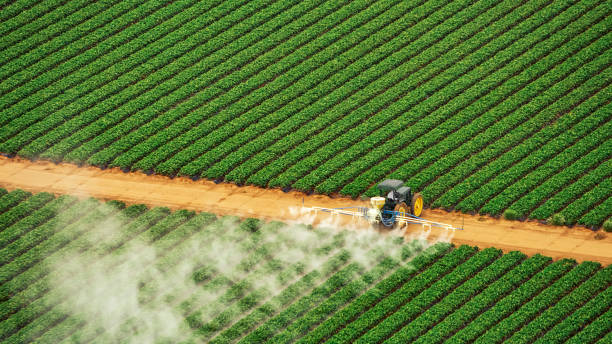 Best Mosquito Control Services  in Pond Creek, OK