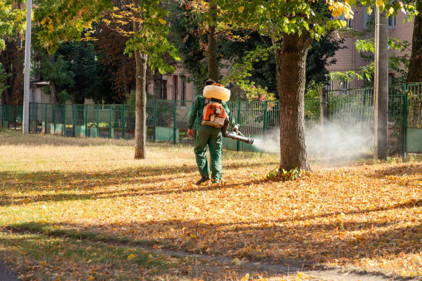Best Pest Control Near Me in Pond Creek, OK