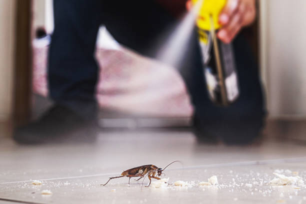 Best Insect Control  in Pond Creek, OK