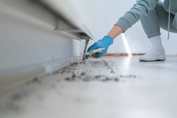 Professional Pest Control in Pond Creek, OK